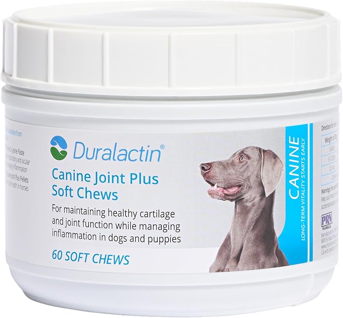 PRN Pharmacal Duralactin Canine Joint Plus Soft Chews - Joint Health Supplement for Dogs & Puppies - Pet Mobility Support - 60 Soft Chews