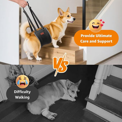 LOOBANI Portable Dog Sling for Back Legs, Hip Support Harness to Help Lift Dogs Rear for Canine Aid and Old K9 Cruciate Ligament Rehabilitation