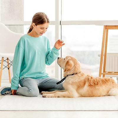 SCLOSE Washable Pee Pads for Dogs 2 Pack, 34" x 36" Waterproof Incontinence Bed Pads for Adults, Elderly and Kids, Nursing Pads, Chucks Pads, Super Asorbent Dog Training Pads, White & Green