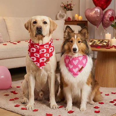PTDECOR Valentine Dog Bandana, Reversible Love Letter Heart Valentine Pet Scarf, Premium Durable Fabric, Red Pink Bandanas for Extra Large Dogs (X-Large)
