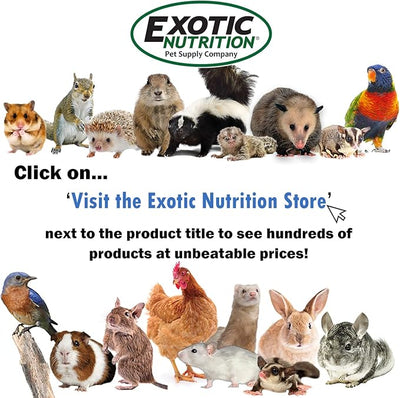 Glider Booster (10 oz.) - Complete Multivitamin - Powdered Vitamin & Mineral Supplement for Pet Sugar Gliders