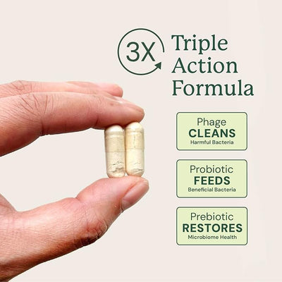 Animal Biome Probiotics for Dogs with S Boulardii, Gut Maintain (30 Capsules) – Triple-Action Medium Dog Probiotics, Prebiotics & Phage Supplements for Gut Health, Firmer Stool & Diarrhea Support
