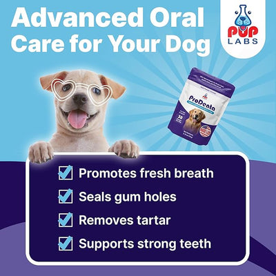 Pup Labs ProDenta, Dog Teeth Cleaning and Dog Breath Freshener, Natural Powder for Plaque, Tartar, and Gum Support Made in USA, 3-Pack (90 Scoops)