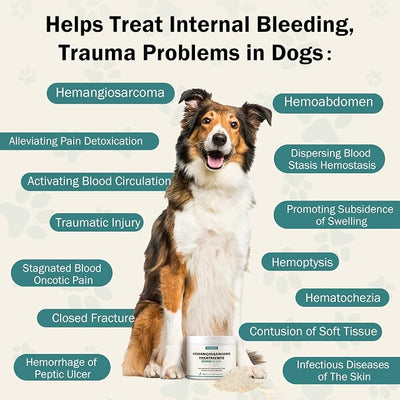 Quick Stop Bleeding for Dogs, Natural Yunnan Sanqi Powder for Hemangiosarcoma, Hemoabdomen, Pericardial Effusion, Cancer Bleeding, Severe Bruising, Ulcer-Related Bleeding, Bloody Stools - 60g