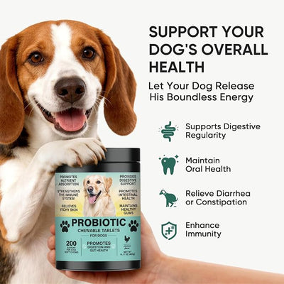 Probiotics for Dogs Gut Digestive Health Probiotic Chews for Dogs Digestive Enzymes Relieve Diarrhea Immunity Oral Problems Itching Constipation Prebiotics Dog Probiotics 200 Ct Chicken