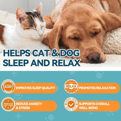 Melatonin for Pets, Dog Melatonin, Dog Sleep Supports, Melatonins for Cats, Supports Relaxation Dogs & Cat, Calm Behavior in Dogs, Helps Restful Sleep, Chicken Flavor 60ml
