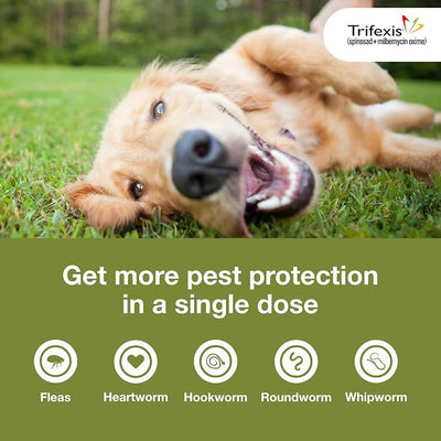 Trifexis Heartworm Prevention | Treats & Controls Flea Infestations + 4 Other Worms | Dogs 40.1-60 lbs. | 6 Chewables