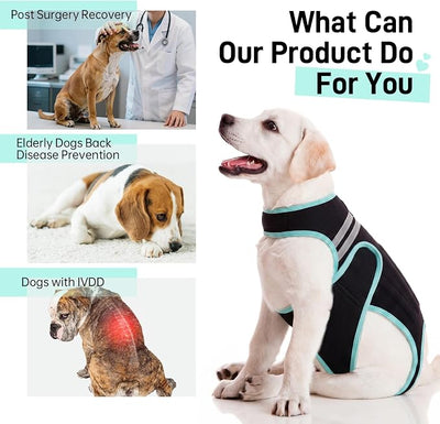 Dog Back Brace, Breathable Dog Post-Surgery Vest for IVDD, Arthritis & Spine Support, Adjustable Reflective Pet Back Bracer Pain-Relieving Harness, Black XS