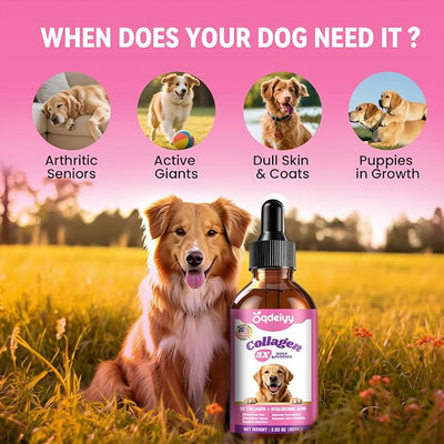 Premium Liquid Collagen for Dogs – 5 Types of Collagen Supplements & Drops for Dogs with Glucosamine, Chondroitin, MSM, Hyaluronic Acid & Probiotic – Supports Healthy Skin, Joints & Gut -60ml