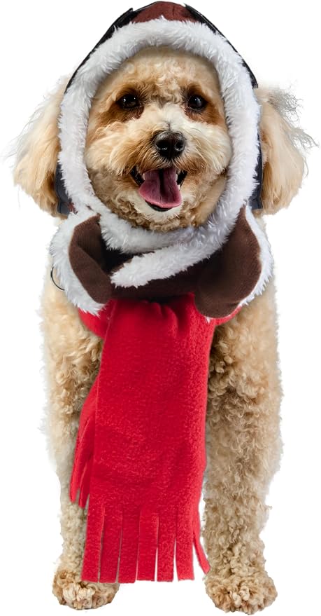 Rubies Aviator Pet Hat & Scarf Set for Dogs or Cats, M/L