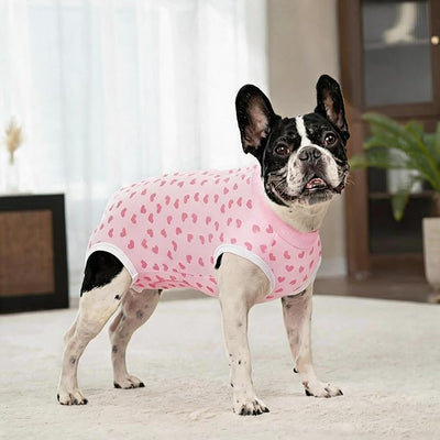 2 Packs Pet Dog Recovery Onesie Suit for Dogs Cats After Surgery,Dog Abdominal Wounds Bandages Cone E-Collar Alternative. (White Flower, S)