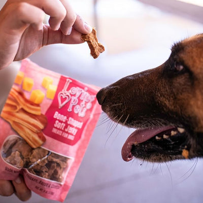 Loving Pets Soft Jerky Dog Treats – Real USA-Sourced Meat Dog Snacks for Training, Puppies & Everyday Reward – Soft, Chewy Dog Treats for Small, Medium & Large Dogs – Wheat & Corn Free