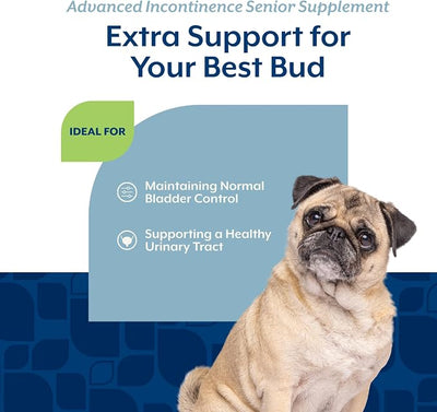 NaturVet Senior Advanced Incontinence Dog Supplement – Helps Support Dog’s Bladder Control, Normal Urination – Includes Synergistic Blend of Botanicals – 120 Ct. Soft Chews