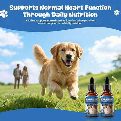 Taurine Liquid Supplement for Dogs, Daily Amino Acid Drops Supporting Heart & Muscle Function, Energy Balance & Physical Stability, 60 ml
