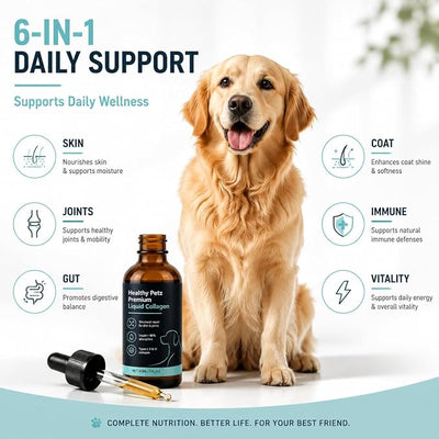 Healthy Petz Premium Liquid Collagen for Dogs, Supplement with Collagen, Hyaluronic Acid & Vitamins C, Support for Skin & Joints & Gut & Overall Vitality, 60ml/2FL OZ
