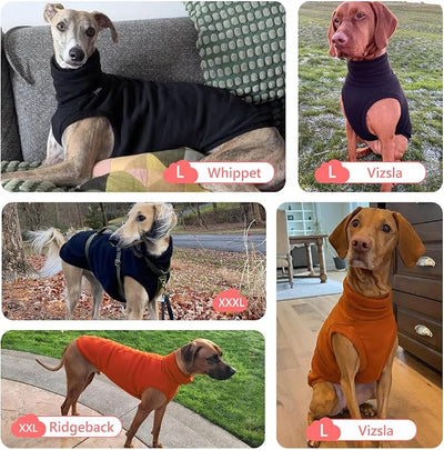 Sweatshirt for Vizsla/Weimaraner/Poodle/Dalmatian/German Dog, Reflective Sleeveless Warm Cotton Clothes for Big Dogs (Orange, Medium(Chest 23'', Back 20.5''))