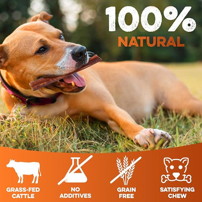 BRUTUS & BARNABY 6 Inch Bully Sticks for Dogs (10 Count) – Natural Grass-Fed Beef Chews, Odor Free, Single Ingredient, Fully Digestible, Rawhide Free for Small, Medium & Large Dogs