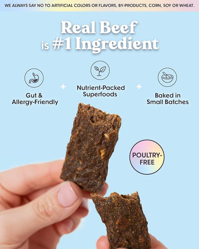 Bundle x Joy Leash & Load Beef Jerky for Dogs - 16 Oz Bag, Natural Superfood - Corn, Poultry, Soy & Grain Free Beef Dog Treats Made in USA Only