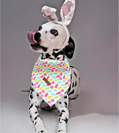 Lionheart glory Easter Dog Bandana Dog Kerchief 1 Pack Washable Soft Comfortable Dog Scarf, Square Adjustable Girl or Boy Easter Eggs Bunnies Dog Bandanas for Small Dogs Puppy