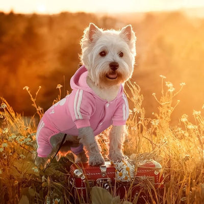 Dog Hoodie Security Clothes 4 Legs Jumpsuit Sweatshirt Hoodies Soft & Warm Dog Outfit Pullover Dog Winter Clothes Sweater for Small Medium Large Dogs Cats (Pink, X-Small)