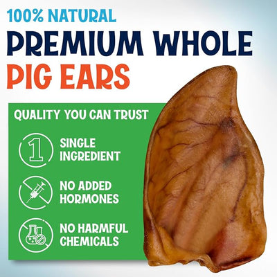 FETCHERONI Whole Pig Ears for Dogs Large - 200 Pack Long Lasting Dog Chews – One Ingredient Delicious All Natural Flavor – Easy to Digest Dog Treats for Large Dogs - Great for Teeth and Gums