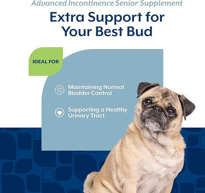 NaturVet Senior Advanced Incontinence Dog Supplement – Helps Support Dog’s Bladder Control, Normal Urination – Includes Synergistic Blend of Botanicals – 60 Ct. Soft Chews