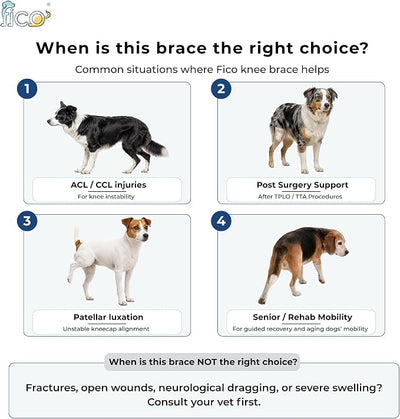 Dog Knee Brace for Hind Leg Support - Right Leg, CCL ACL Brace for Dogs, Vet Approved, Adjustable Orthopedic Support for Arthritis, Ligament Injuries & Post-TPLO Surgery Recovery (Medium)