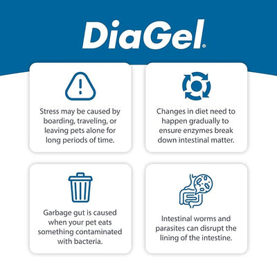DiaGel for Small Dogs (1-30 lbs.) - Orally Administered Gel for Occasional Loose Stools and Digestive Upset - Natural Pet Products - Van Beek Natural Science