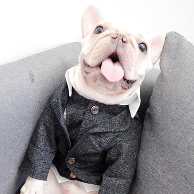 Dog Clothes Pet Plaid Suit Dog Tuxedo Costumes, Formal Gentleman Apparel Vest, Wedding Party Birthday Wear French Bulldog Pug Teddy Terrier Pup(Black Coat, XXL)
