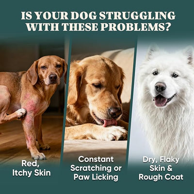 Dog Allergy Chews Omega 3 is Human,Itch Relief Multivitamin Medicine for Dogs Itching Skin Relief and Aller Immune Pet Allergy Dog Anti Itch Chews Coat Licking Supplements Pills Meds Medicine for Dogs