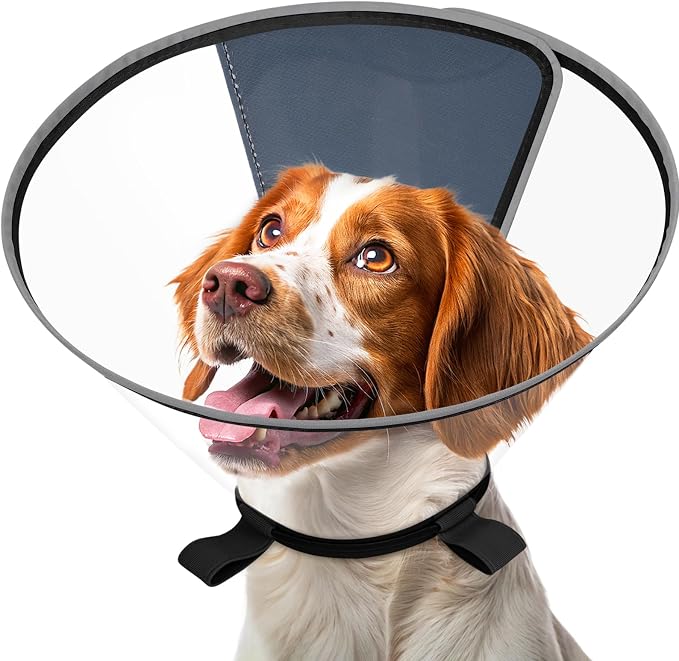 Clear Dog Cone for Medium Dogs After Surgery, Adjustable E-Collar to Stop Licking with Padded Neck for Brittany, Soft Recovery Collar with Reflective Trim for Night Visibility, Black S/M