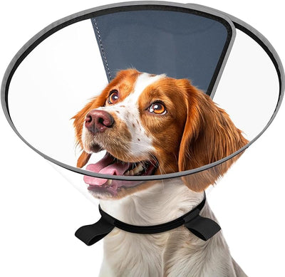 Clear Dog Cone for Medium Dogs After Surgery, Adjustable E-Collar to Stop Licking with Padded Neck for Corgi, Shiba Inu, Soft Recovery Collar with Reflective Trim for Night Visibility, Black M