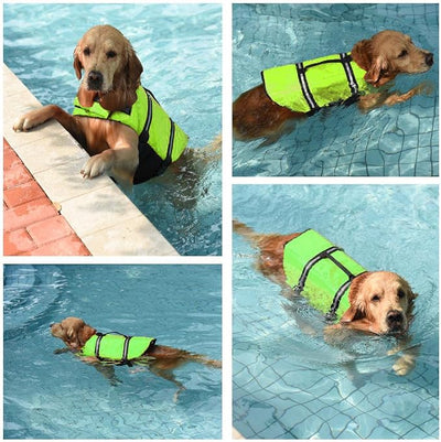 Doglay Dog Life Jacket with Rescue Handle, Dog Life Vest for Swimming Boating, Adjustable Reflective Puppy Swim Vest with Superior Buoyancy for Small Medium Large Dogs