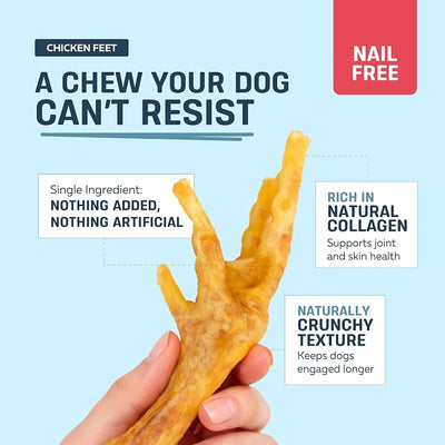 Big Lu – Nail-Free Chicken Feet Dog Chews, (100-Pack) | 100% Natural Single-Ingredient Treats, Rawhide-Free, Long-Lasting, Rich in Glucosamine and Chondroitin for Joint Health