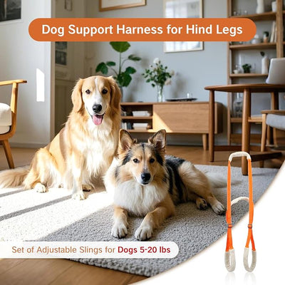 Sling for Dogs Back Legs Rear Support Harness for Paralyzed or Handicapped Pets Assistance Lift Slings for Hind Leg Mobility Small Dog Handicap Supplies for Joint Injuries and Stability (Orange)