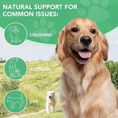 Antibiotics for Dogs, Natural Antibiotics for Dogs, Dog Antibiotics for Infection Supports Immune & Dogs Allergy Relief, Dog Multivitamin UTI Drops Natural Supplement for All Ages & Breeds-2PCS