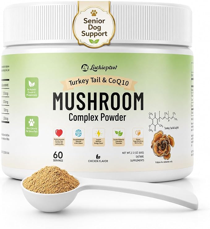 Organic Turkey Tail Mushroom Supplement for Senior Dogs & Cats – 10-in-1 Functional Mushroom Powder with CoQ10 for Immune Support, Digestive Health – Chicken Flavor, Scoop Included