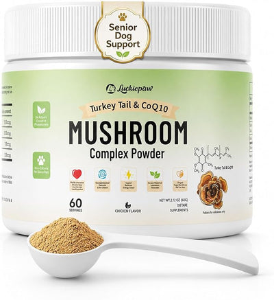 Organic Turkey Tail Mushroom Supplement for Senior Dogs & Cats – 10-in-1 Functional Mushroom Powder with CoQ10 for Immune Support, Digestive Health – Chicken Flavor, Scoop Included