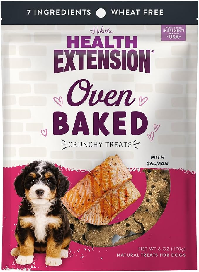 Health Extension Oven-Baked Dog Treats, Salmon Recipe – Gluten & Wheat-Free, Superfood-Infused, Crunchy Biscuits for Puppy Training (6oz)