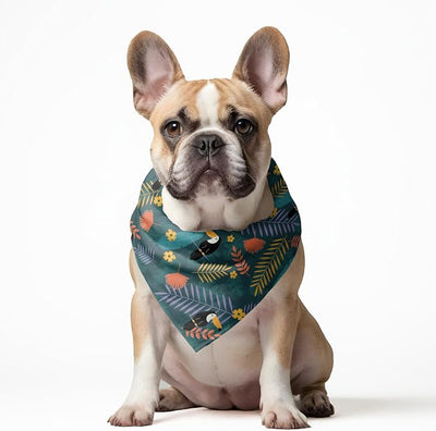 W Brings Bandana for Dogs | This Stunning Gorgeous Design Dog Bandana Scarf is Perfect Styling Accessory for Dogs Large, Medium & Small. One Size Fits All. (Medium - Large, Toucan Jungle)