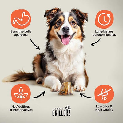 Scott Pet Grillerz Beefy Bone, 1 Count, Beef Bones for Dogs, Rawhide Free, Dog Chew for Healthy Teeth & Gums, High Protein, Easy to Digest, Long Lasting, Natural Treats for All Breeds