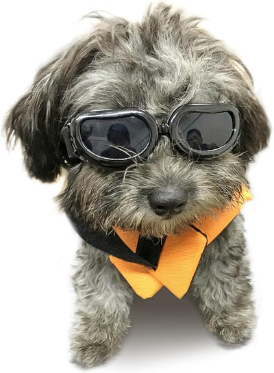 Enjoying Dog Goggles Small Breed, Dog Sunglasses UV Protection, Cycling Eye Protection for Small Dogs, Breathable Windproof Dustproof Anti-Fog, Adjustable Straps, Classic Black