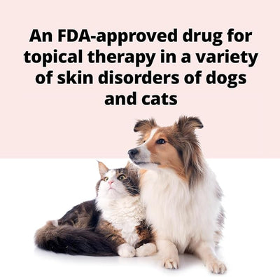 Animax® Ointment (nystatin-neomycin sulfate-thiostrepton-triamcinolone acetonide Ointment) 7.5 mL Tube for Dogs and Cats