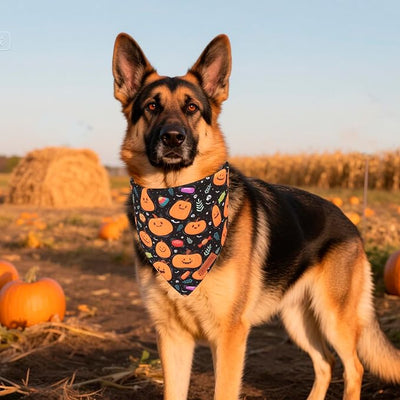 PTDECOR Halloween Dog Bandana, Pumpkin Ghost Design Reversible Holiday Pet Scarf, Black Yellow Halloween Bandanas for X-Large Dogs Pets(X-Large)