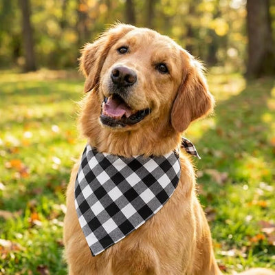 Cotton Linen Dog Bandanas 1 Pack, Plaid Checkered Bandana for Large Dogs, Soft Breathable Classic Dog Apparel & Accessories (Black Gingham, Large)