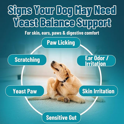 VICSOM Yeast Infection Treatment for Dogs, 200 Soft Chews Natural Anti Yeast Support Itchy Skin Paw Licking Ear Odor Allergy Relief for Dogs, Caprylic Acid + Probiotics, Chicken Flavor All Breeds