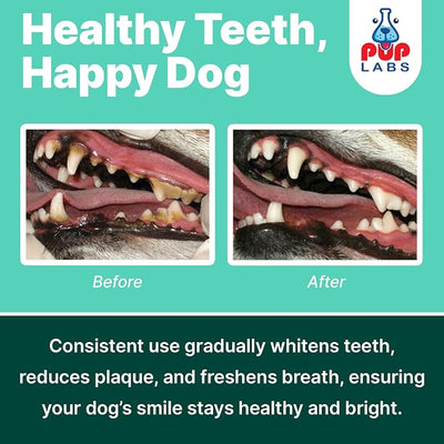 Pup Labs ProDenta Fresh Breath for Dogs, All-Natural Dog Breath Freshener, Dog Dental Powder Made in USA, 30 Servings