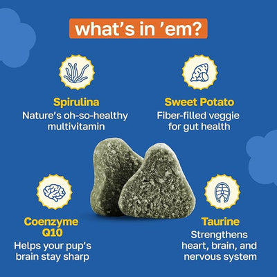 Happy Paws Cognitive Taurine Supplement for Dogs, Soft Chews with Spirulina, CoQ10 & Vitamins B1, B3, B12, Senior Dog Vitamins that Support Cognitive Function, Memory and Focus,