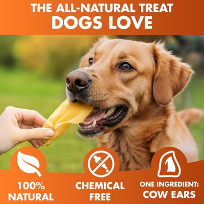 BRUTUS & BARNABY Cow Ears for Dogs – Whole Ears 30 ct, Thick Cut, Grass-Fed Angus Beef, All-Natural No-Rawhide Dog Treat Alternative