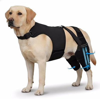 Dog Knee Brace for Back Legs (M) – Dual Hind Leg Support with Hip Harness, Adjustable Joint Stabilizer for Cruciate Ligament & Mobility Assistance, Breathable Pet Leg Wrap